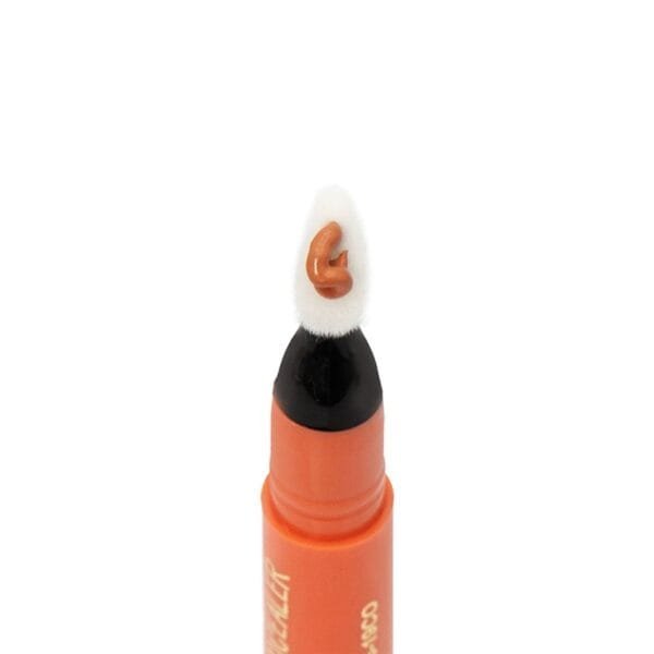 Bear Concealer